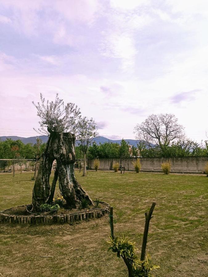 Bed & Breakfast Desea Poggiomarino